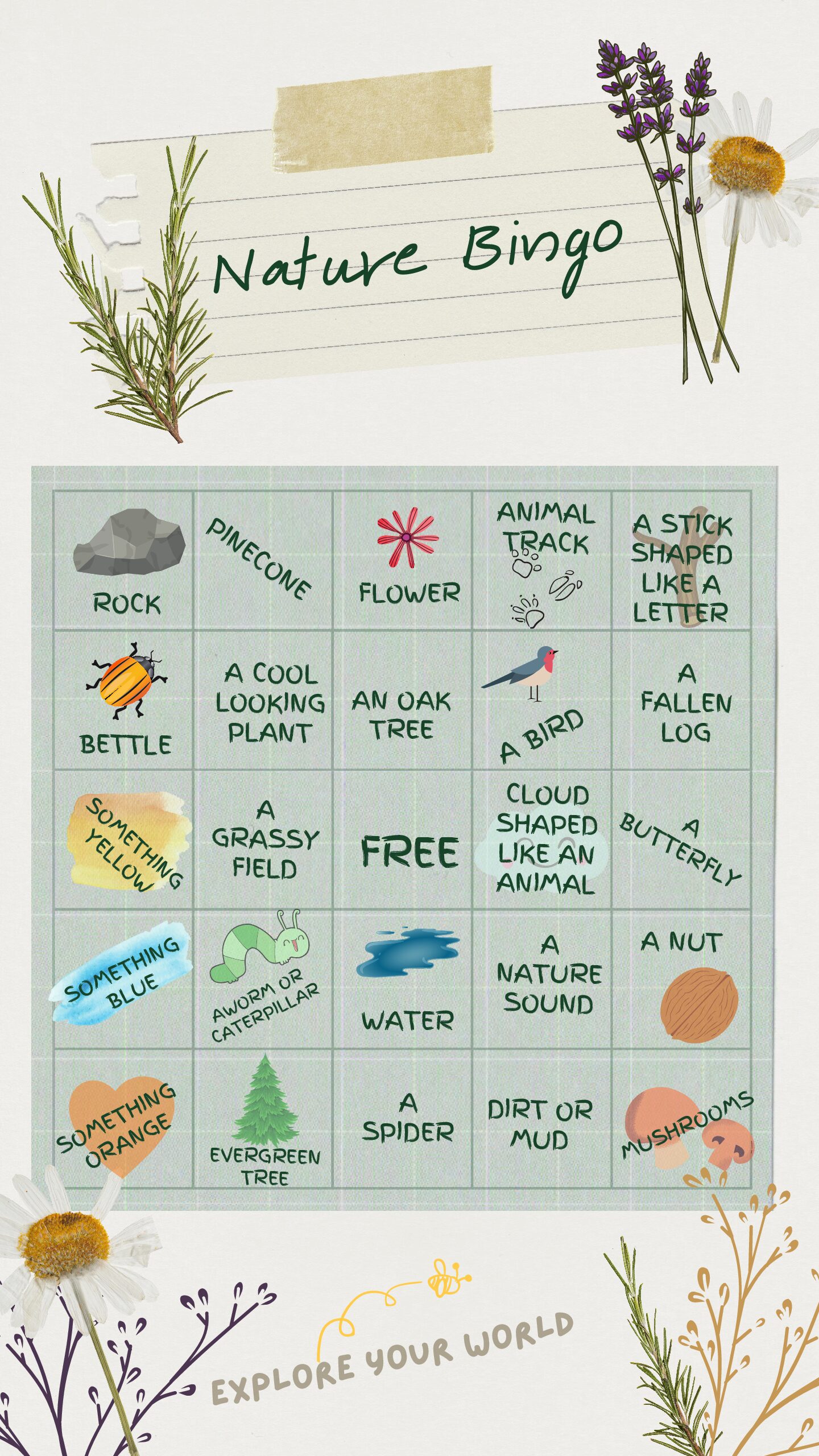 nature bingo cards